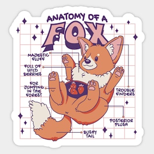 Fox Anatomy Funny Kawaii Sticker